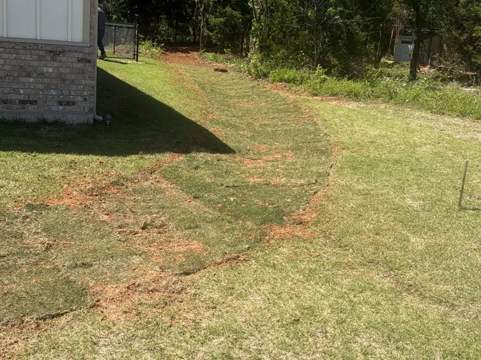 Finished sodded drainage swale running from the house toward the tree line