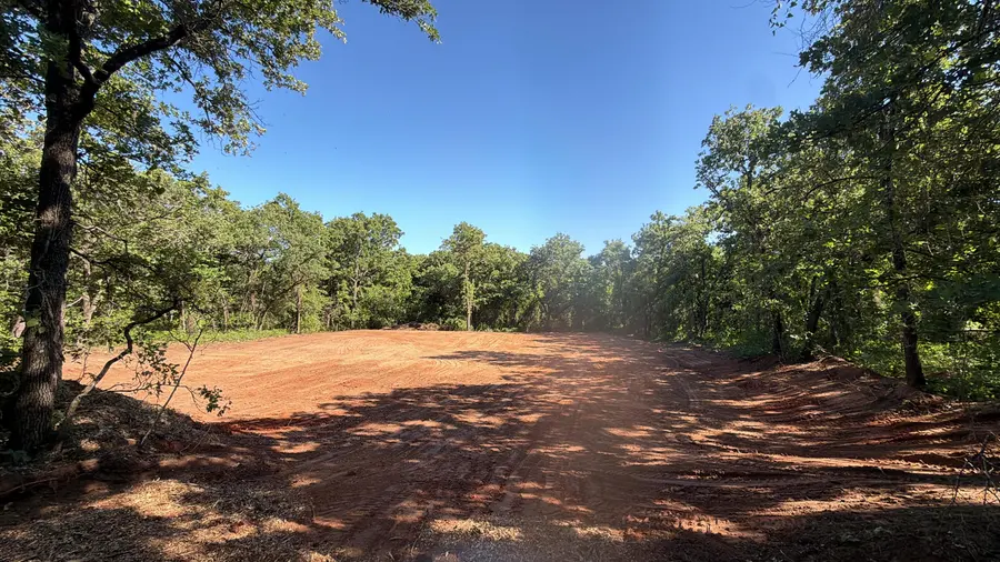 Cleared woodland pad framed by oaks